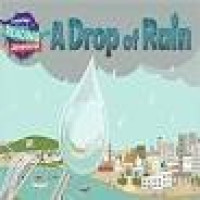 Cambridge Reading Adventures :A Drop Of Rain  Green Band