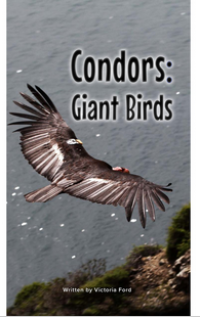 Condors: Giant Birds