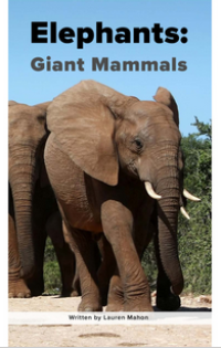 Elephants: Giant Mammals