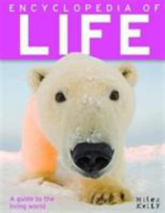 1 cover