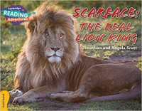 Cambridge Reading Adventures :  Scarface:The Real Lion King