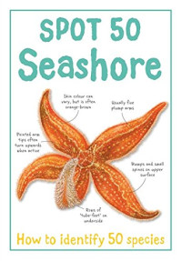 Image of Spot 50 Seashore
