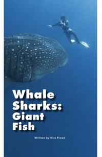 Whale Sharks: Giant Fish